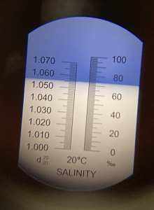 a scale showing density on the left and salinity on the right with salinity reading approximately 74 parts per mille